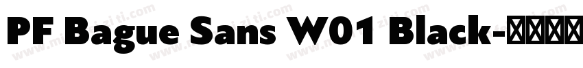 PF Bague Sans W01 Black字体转换